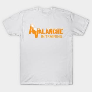 Avalanche in training (Orange with snow) T-Shirt